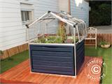Mini Greenhouse PLANT INN, Palram/Canopia, 1.18x1.18x1.48 m, Clear Mini Greenhouse PLANT INN, Palram/Canopia, 1.18x1.18x1.48 m, Clear