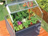 Mini Greenhouse PLANT INN, Palram/Canopia, 1.18x1.18x1.48 m, Clear Mini Greenhouse PLANT INN, Palram/Canopia, 1.18x1.18x1.48 m, Clear
