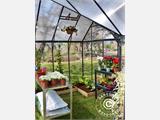 Serre orangerie en polycarbonate VICTORY, 10,41m², Palram/Canopia, 3,66x3,05x2,69m, Gris