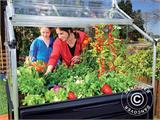 Mini Greenhouse PLANT INN, Palram/Canopia, 1.18x1.18x1.48 m, Clear Mini Greenhouse PLANT INN, Palram/Canopia, 1.18x1.18x1.48 m, Clear