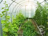 Greenhouse polycarbonate TITAN Arch 320, 18 m², 3x6 m, Silver