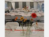 Tendone per feste PLUS 4x10m PE, Grigio/Bianco