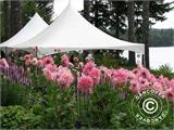 Marquee Pagoda 4x8 m, White Marquee Pagoda 4x8 m, White