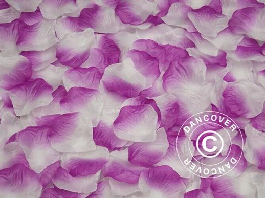 Pétales de rose, Violet / Blanc, 1000 pcs