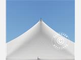 Pole tent 6x6m PVC, Hvit 