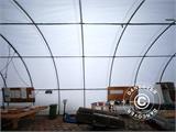 Tunnel Agricolo 9,15x12x4,5m, PVC, Bianco