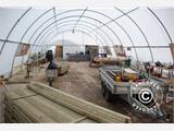 Tunnel agricole 9,15x12x4,5m, PVC, Blanc