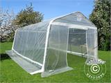 Polytunnel greenhouse, 3.6x8.4x2.68 m, PE, 30.24 m², Transparent Polytunnel greenhouse, 3.6x8.4x2.68 m, PE, 30.24 m², Transparent