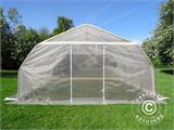 Serre tunnel, 5,4x6x2,9m, PE, 32,4m², Transparent