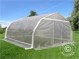 Polytunnel greenhouse, 5.4x6x2.9 m, PE, 32.4 m², Transparent Polytunnel greenhouse, 5.4x6x2.9 m, PE, 32.4 m², Transparent