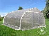 Serre tunnel, 5,4x6x2,9m, PE, 32,4m², Transparent