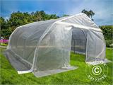 Serre tunnel, 5,4x6x2,9m, PE, 32,4m², Transparent