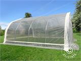 Polytunnel greenhouse, 5.4x6x2.9 m, PE, 32.4 m², Transparent Polytunnel greenhouse, 5.4x6x2.9 m, PE, 32.4 m², Transparent