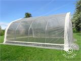 Serre tunnel, 5,4x6x2,9m, PE, 32,4m², Transparent