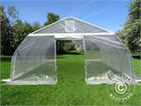 Polytunnel greenhouse, 5.4x6x2.9 m, PE, 32.4 m², Transparent Polytunnel greenhouse, 5.4x6x2.9 m, PE, 32.4 m², Transparent