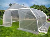 Polytunnel greenhouse, 5.4x6x2.9 m, PE, 32.4 m², Transparent Polytunnel greenhouse, 5.4x6x2.9 m, PE, 32.4 m², Transparent