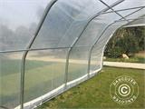 Polytunnel greenhouse, 5.4x6x2.9 m, PE, 32.4 m², Transparent Polytunnel greenhouse, 5.4x6x2.9 m, PE, 32.4 m², Transparent