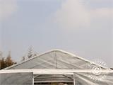 Polytunnel greenhouse, 5.4x6x2.9 m, PE, 32.4 m², Transparent Polytunnel greenhouse, 5.4x6x2.9 m, PE, 32.4 m², Transparent