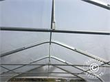 Polytunnel greenhouse, 5.4x6x2.9 m, PE, 32.4 m², Transparent Polytunnel greenhouse, 5.4x6x2.9 m, PE, 32.4 m², Transparent