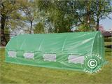 Serre Tunnel 3x8x2m, 24m², Vert