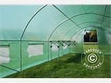 Polytunnel Kasvuhoone 4x8x2m, 32m², Roheline