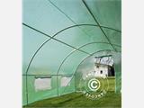 Polytunnel Drivhus 4x8x2m, 32m², Grøn