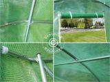 Polytunnel Greenhouse 4x8x2 m, 32 m², Green